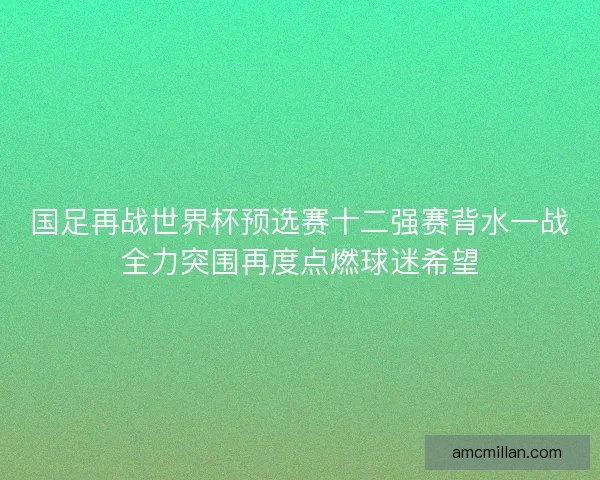 国足再战世界杯预选赛十二强赛背水一战全力突围再度点燃球迷希望